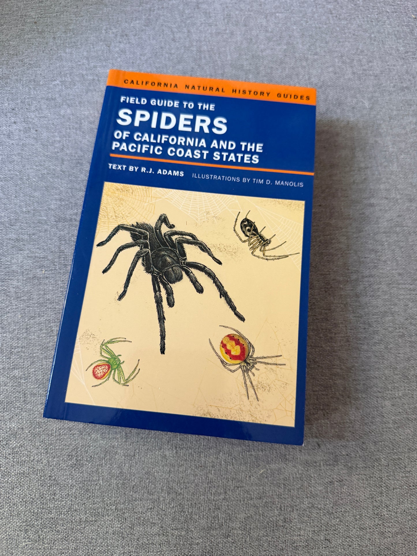 spiders of California book, new