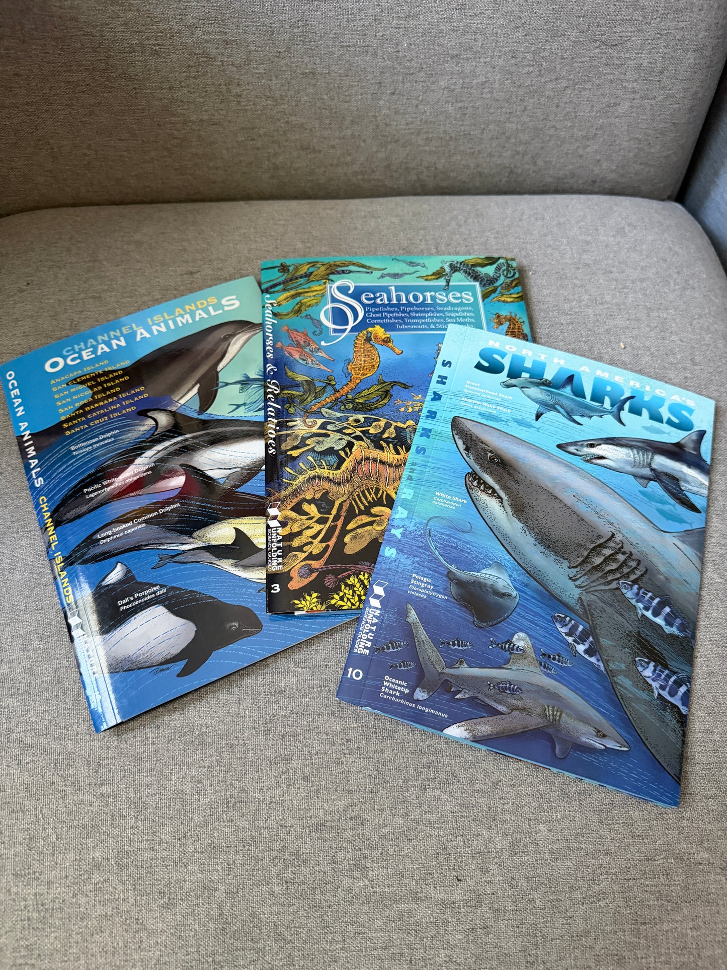 California ocean reference guides