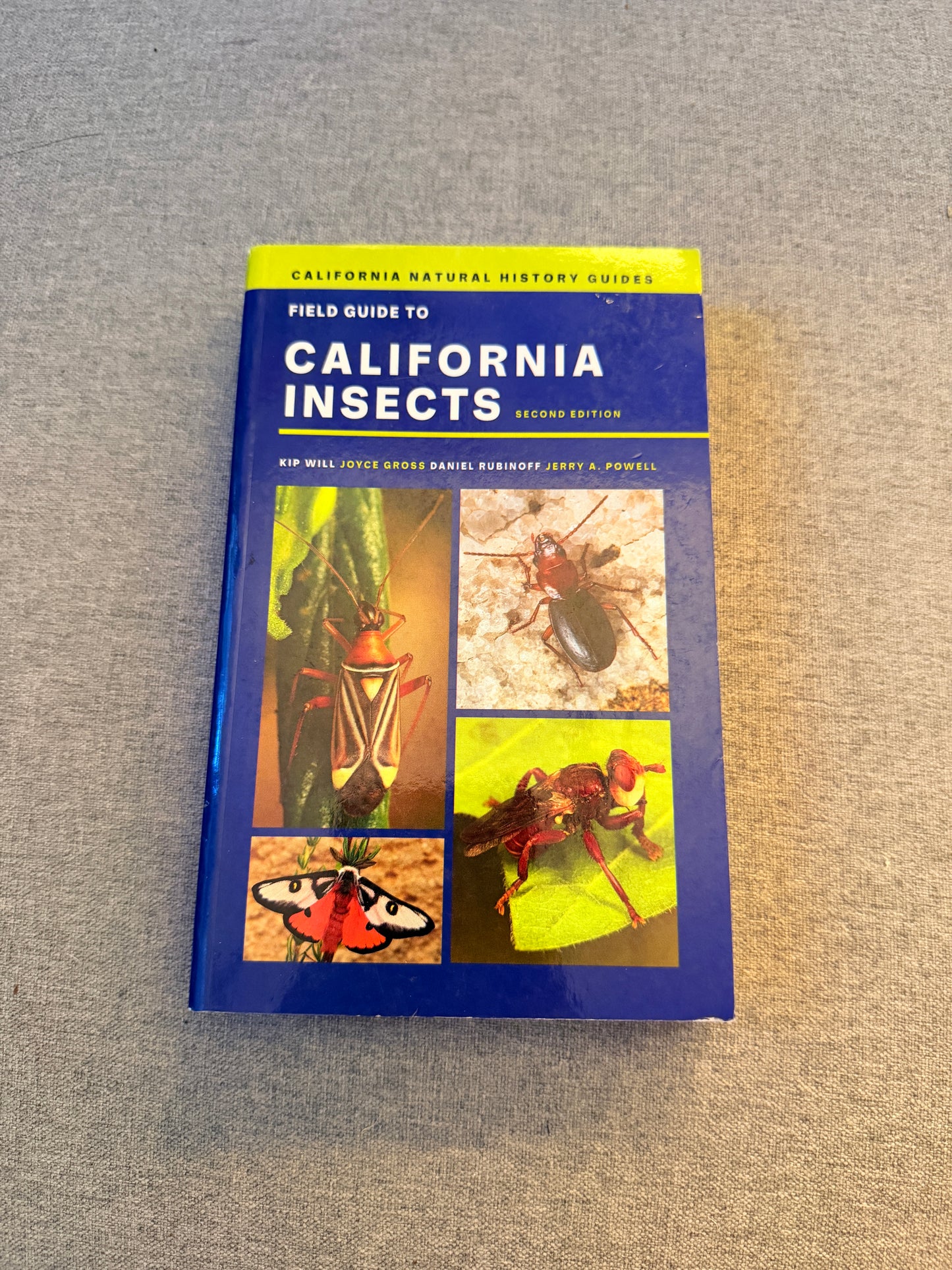 California insects book, new