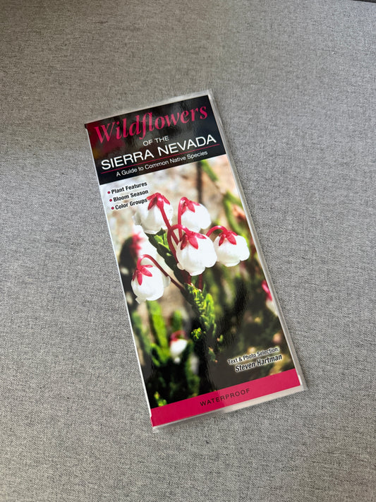 California wildflowers reference guide