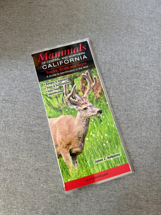 California mammals reference guide