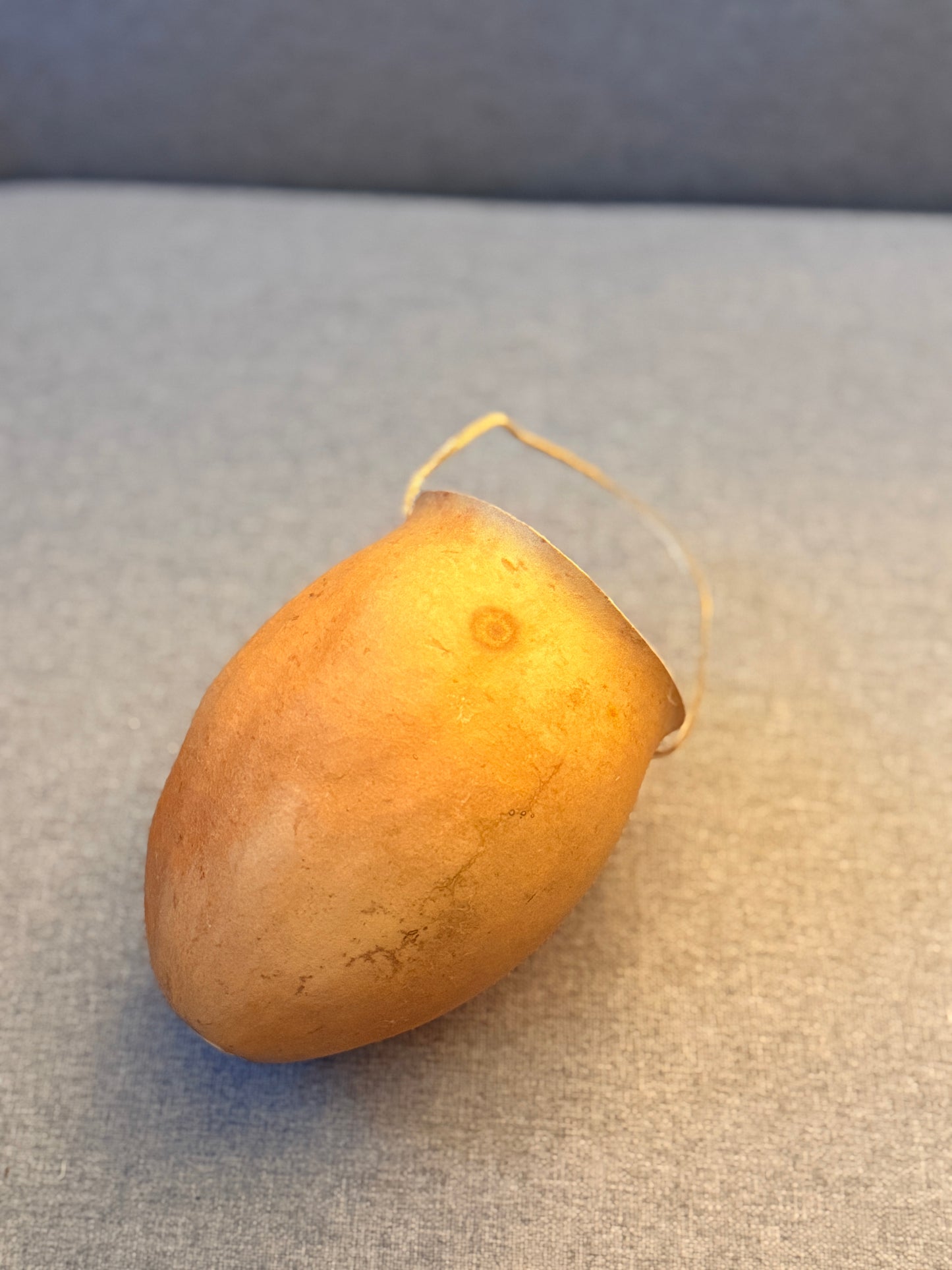 Desert coyote gourd container from Baja California