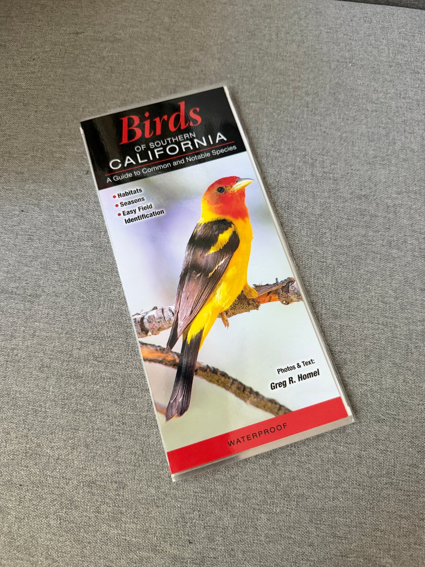 Southern California bird reference guide
