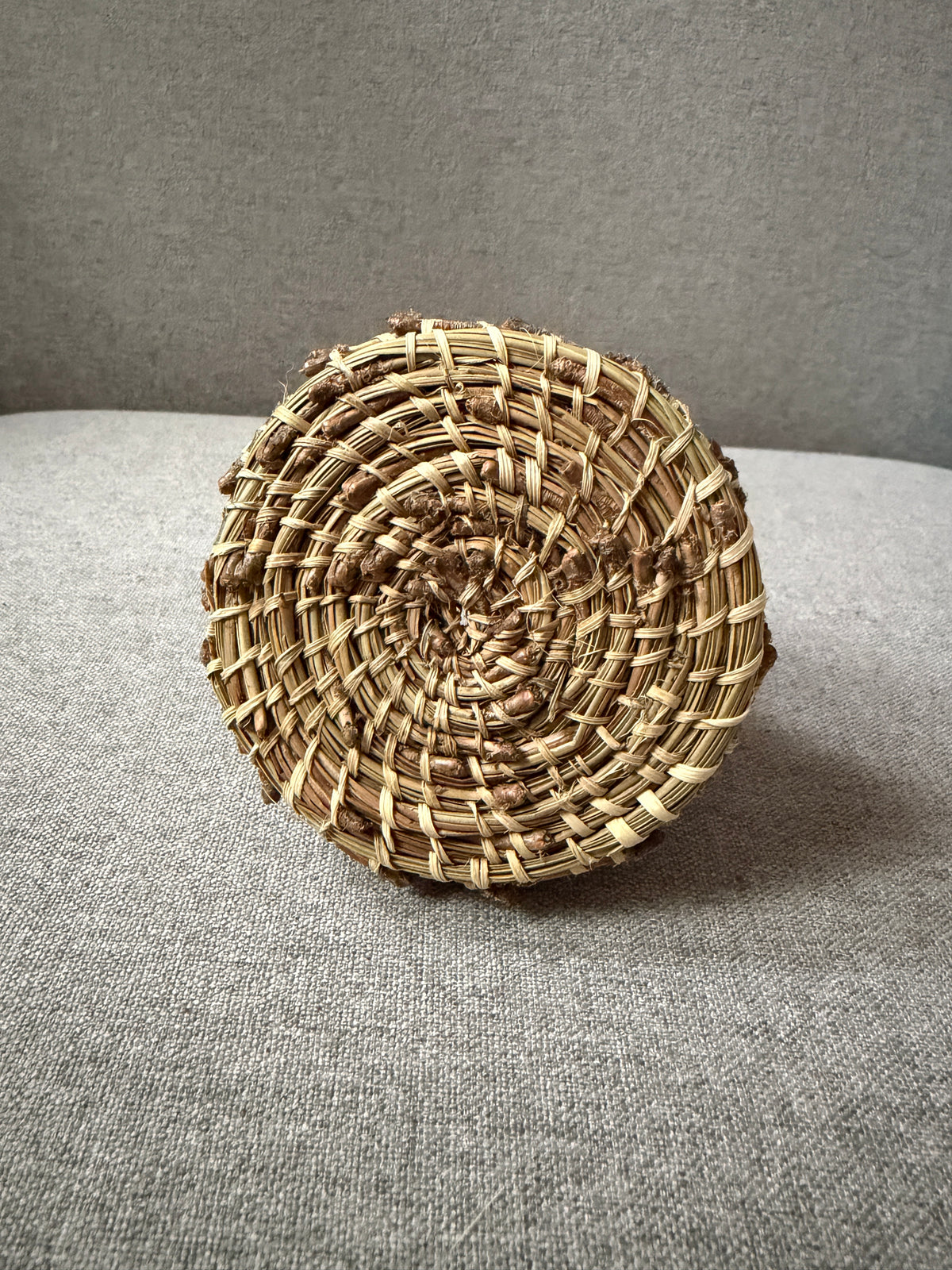Coulter pine needle basket - Baja California