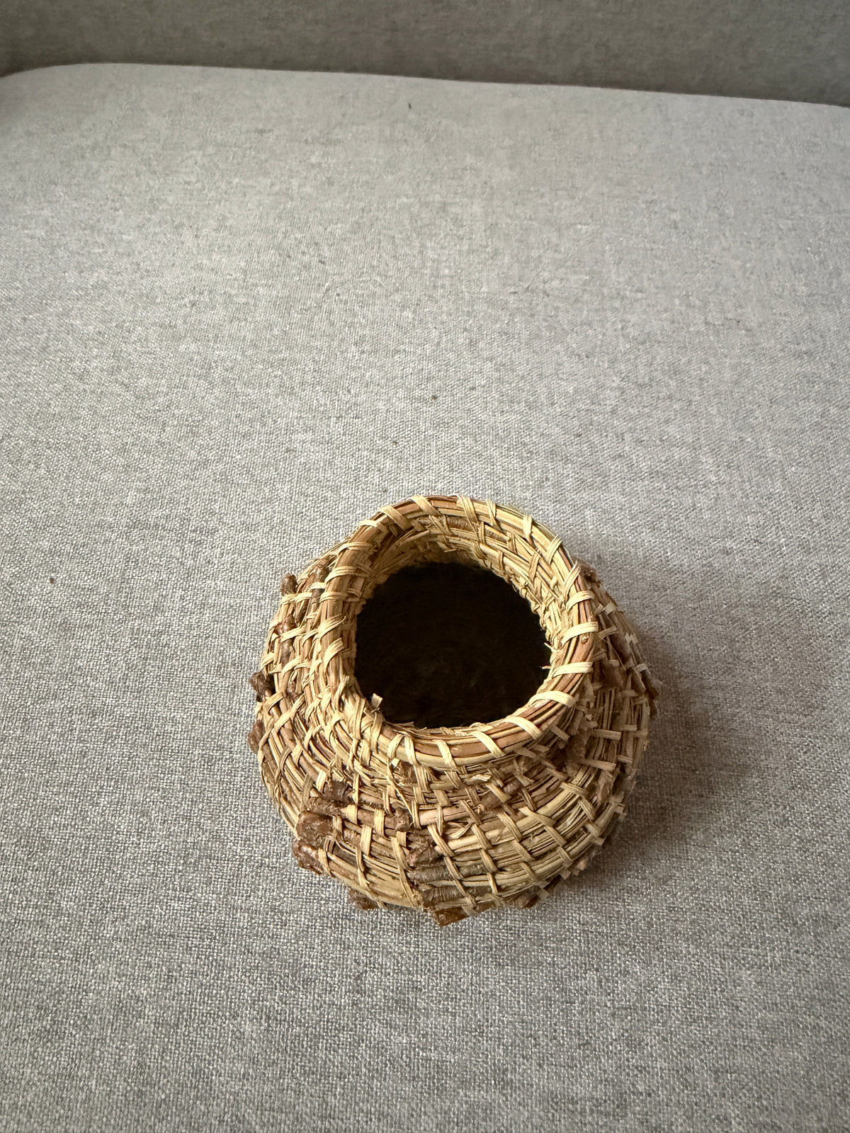Coulter pine needle basket - Baja California