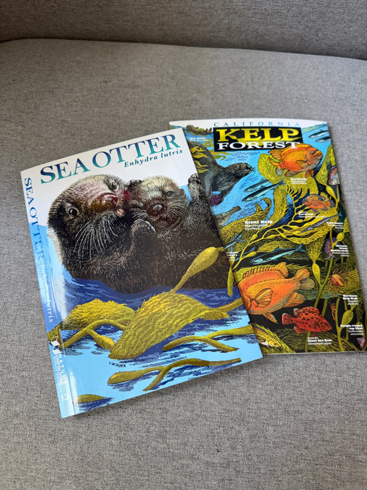 California kelp forest reference guides