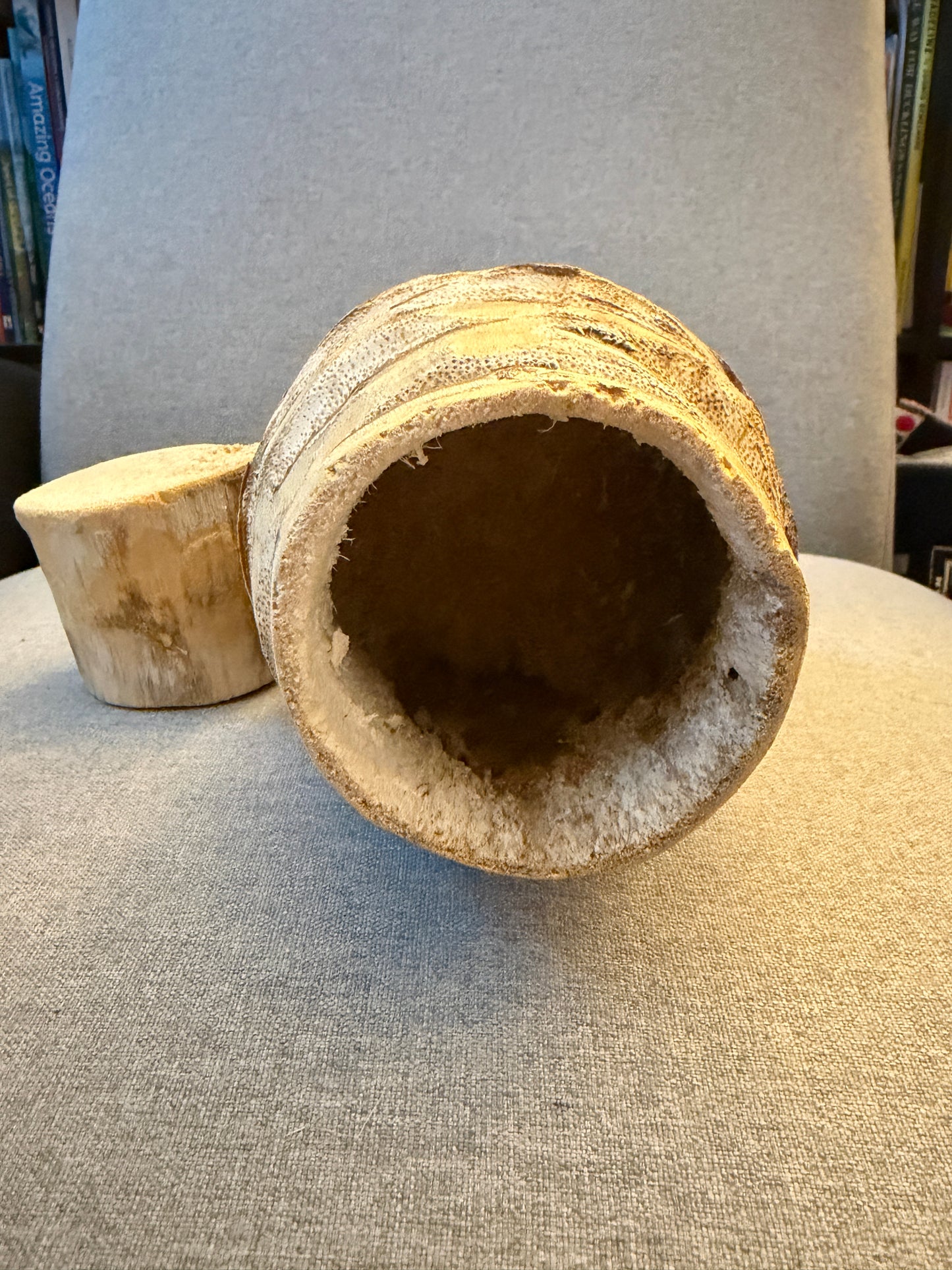 Desert agave carved out storage container from Baja California