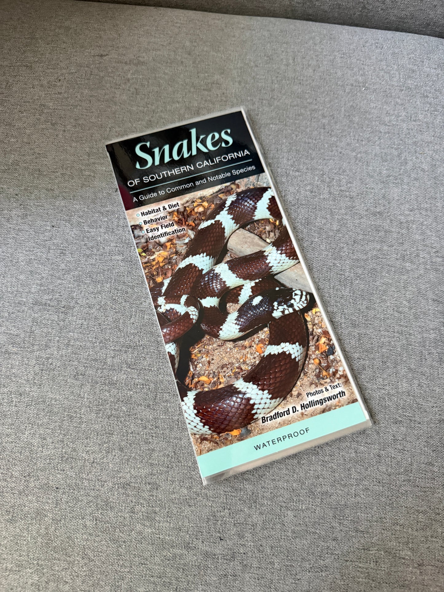 Southern California snakes reference guide