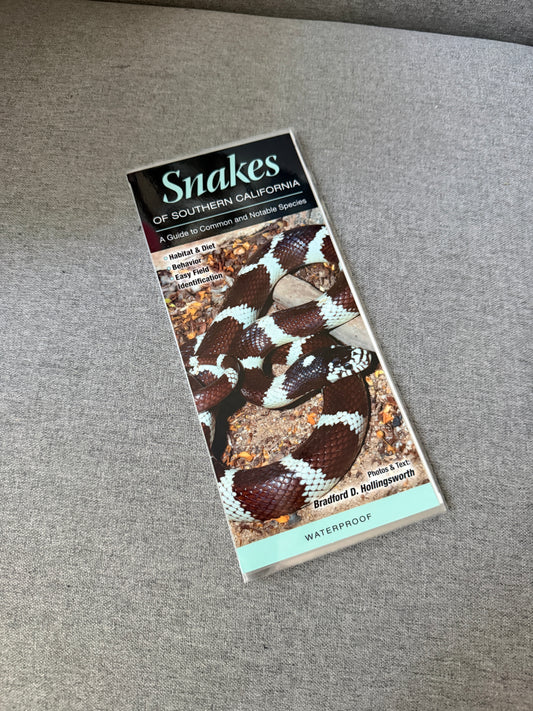 Southern California snakes reference guide