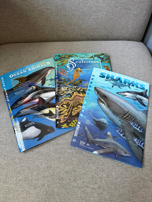 California ocean reference guides