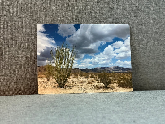 Magnet, summer monsoon in the Colorado desert.